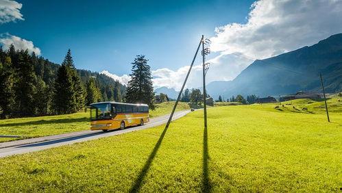 青青草国产线观,青青草的青春旋律与时代印记